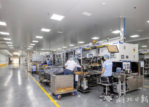 世界500強(qiáng)采埃孚五年三度追投，武漢成其軟件戰(zhàn)略布局核心