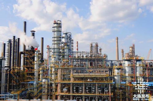 我家住在金普新區(qū)