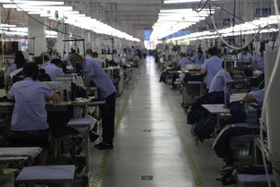 探秘大楊集團(tuán)最新智能化工廠 全球一流“大連造”背后的產(chǎn)業(yè)升級(jí)密碼